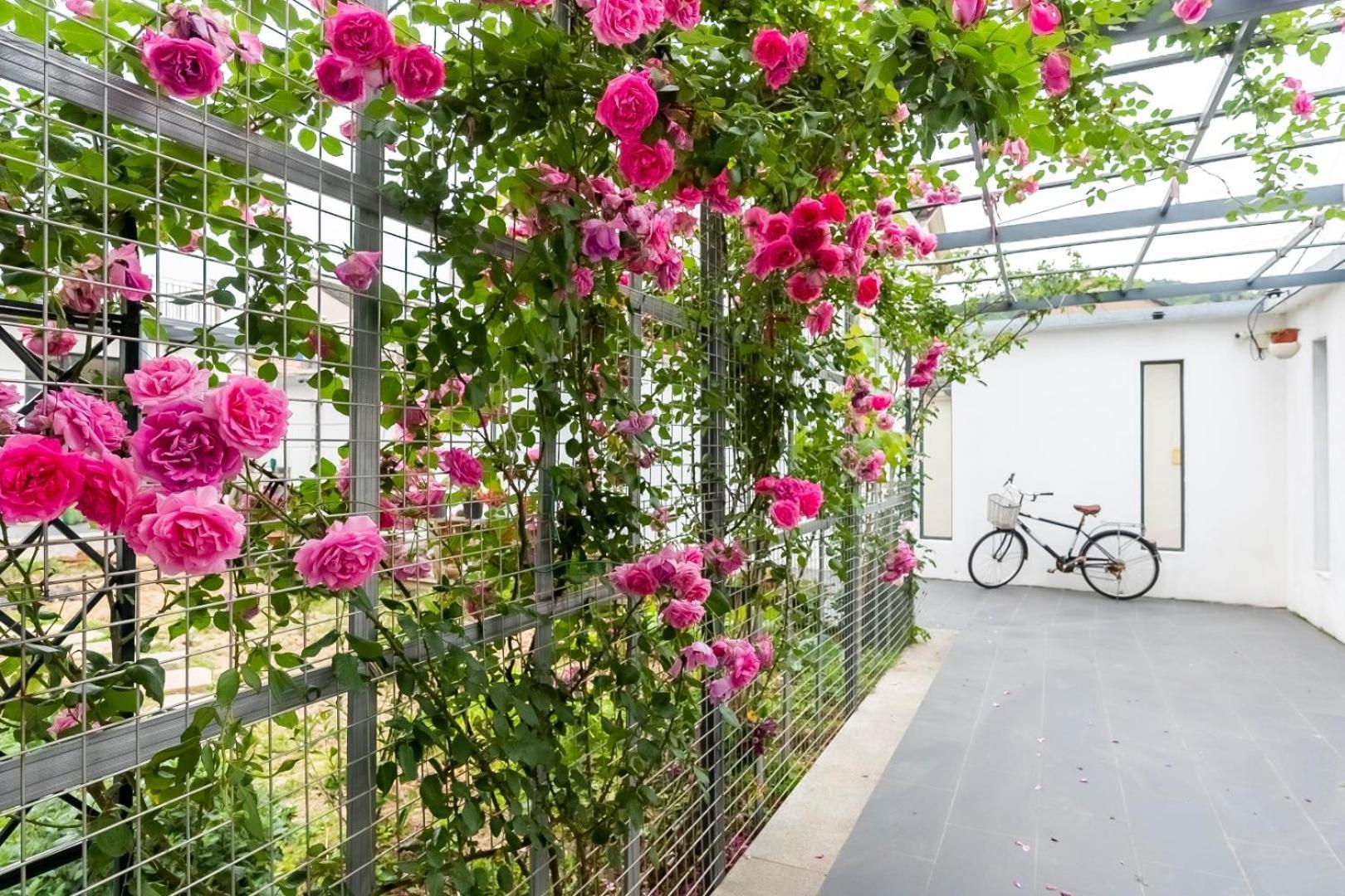 茶墅民宿 Suzhou  Exterior foto